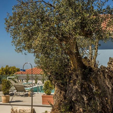 Summertime Villas Argostoli  Eksteriør bilde